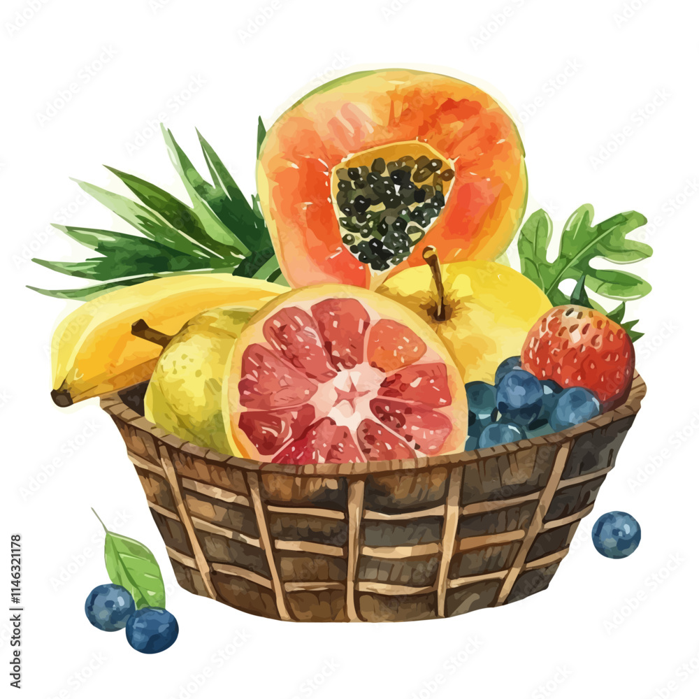 Poster A watercolor drawing of a basket of ripe tropical fruits, isolated on a white background. Basket of ripe tropical fruits vector.
