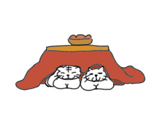 cat and dog in winter