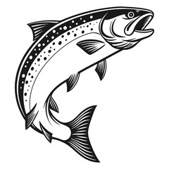 Fototapeta premium Atlantic Salmon Fish Vector Art Illustration