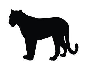 Leopard black silhouette illustration isolated on a white background