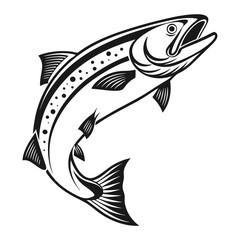Atlantic Salmon Fish Vector Art  Illustration