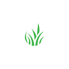 Green grass logo. Spring. Gazon. Vector icon of a green grass isolated on white background.