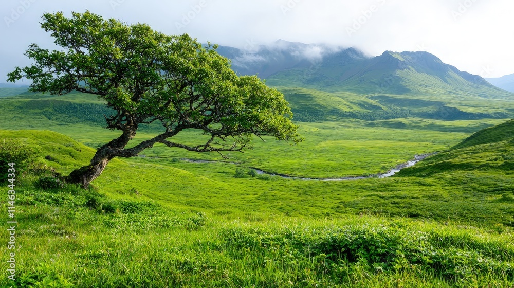 Canvas Prints Solitary tree on green hill, valley, stream, mountains background.