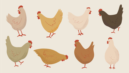 Set of Cute Chickens Illustration. Hand Drawn Farm Animals. 