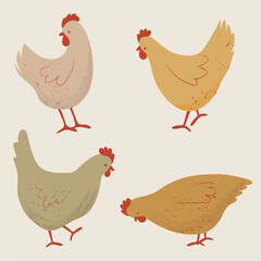 Set of Cute Chickens Illustration. Hand Drawn Farm Animals. 