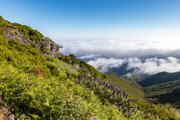 Panorama from the path of the vereda do Pico Ruivo in Madeira