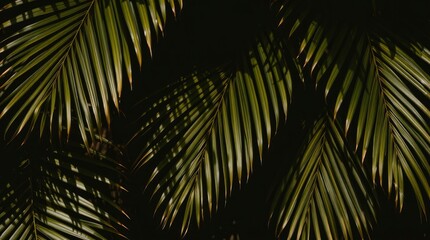 A dramatic image depicting a set of tropical green palm leaves in natural earth tones, high contrast, and low-key lighting. Browns, beiges, and muted colors dominate, creating deep shadows
