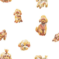 Brown maltipoo wax crayons seamless pattern on white isolated background. Textural and animalistic repeating pattern. Design for textiles, wrapping paper and wallpaper.