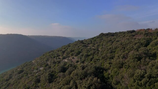 Drone View of Forested Hills and Lim Bay Fjord in Istria, Croatia