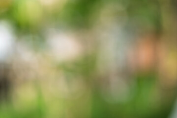 Bokeh Foliage Gradient Nature Background