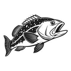 Black Grouper Fish  Vector Art and Illustration