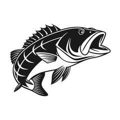 Black Grouper Fish  Vector Art and Illustration