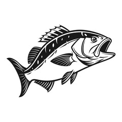 Black Grouper Fish  Vector Art and Illustration