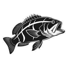 Black Grouper Fish  Vector Art and Illustration