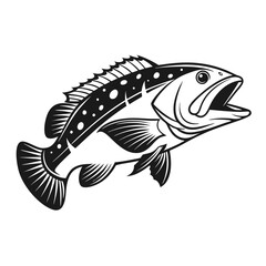 Black Grouper Fish  Vector Art and Illustration