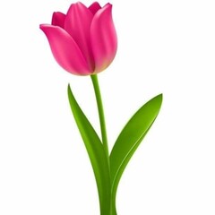 Tulip1 - 1