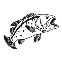 Black Grouper Fish  Vector Art and Illustration