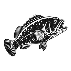 Black Grouper Fish  Vector Art and Illustration