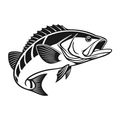Fototapeta premium Black Grouper Fish Vector Art and Illustration