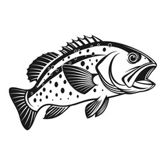 Black Grouper Fish  Vector Art and Illustration
