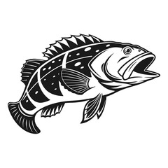 Black Grouper Fish  Vector Art and Illustration