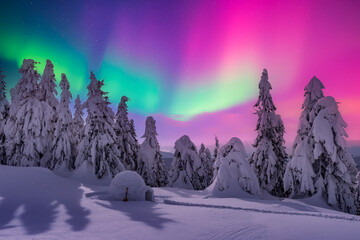 Igloo in winter forest against the backdrop of incredible starry sky with Aurora borealis. Northern...
