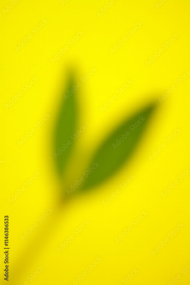 Poster Eucalyptus leaves in sharp focus against a bright yellow colored background for a visually appealing image effect._00001_