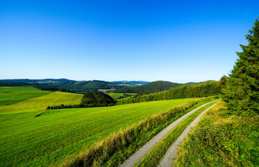 Fototapeta premium View of the green landscape near Oberhenneborn in the Sauerland.