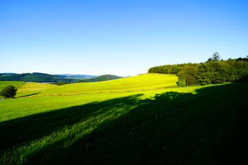 View of the green landscape near Oberhenneborn in the Sauerland.
