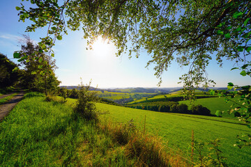 Naklejka premium View of the green landscape near Oberhenneborn in the Sauerland. Hiking trails in nature. 
