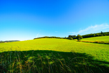 Fototapeta premium View of the green landscape near Oberhenneborn in the Sauerland. Hiking trails in nature. 