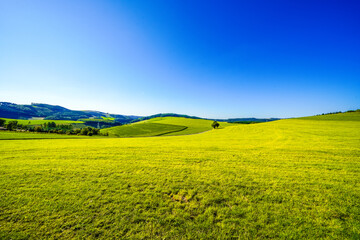 View of the green landscape near Oberhenneborn in the Sauerland. Hiking trails in nature.

