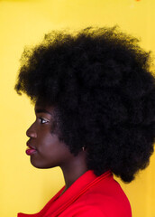 Beautiful girl with Afro hairstyle