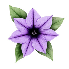 Purple flower illustration with green leaves isolated on transparency PNG background, radiating elegance and beauty, Ideal for nature-themed designs, botanical illustrations, greeting cards, and more