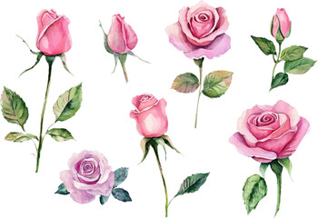 Romantic Watercolor roses Flowers Clipart