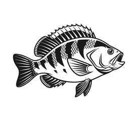 Bluegill Fish Vector Art and Illustration