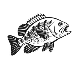 Bluegill Fish Vector Art and Illustration