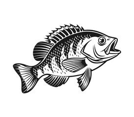 Bluegill Fish Vector Art and Illustration