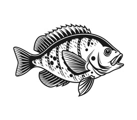 Bluegill Fish Vector Art and Illustration