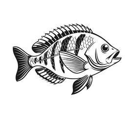Bluegill Fish Vector Art and Illustration