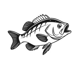 Bluegill Fish Vector Art and Illustration