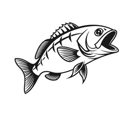 Bluegill Fish Vector Art and Illustration