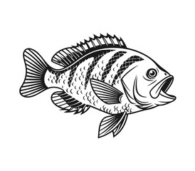 Bluegill Fish Vector Art and Illustration