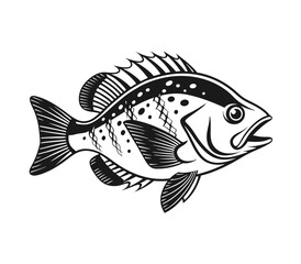Bluegill Fish Vector Art and Illustration