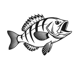 Bluegill Fish Vector Art and Illustration