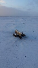Wrecked airplane in the snow