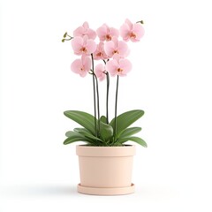 Orchid Flower in a Vase: Botanical Beauty, Interior Decor, and Floral Design Concepts