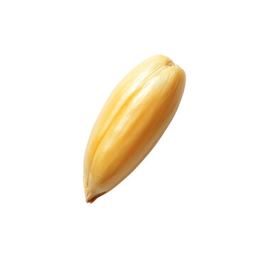 Extreme top view of a perfectly beautiful looking single dent corn grain isolated on a white transparent background