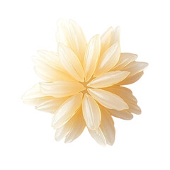 Fototapeta premium Extreme top view of a perfectly beautiful looking single parboiled rice grain isolated on a white transparent background