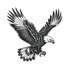 Elegant Silhouette Of A Black And White Eagle Vector Illustration